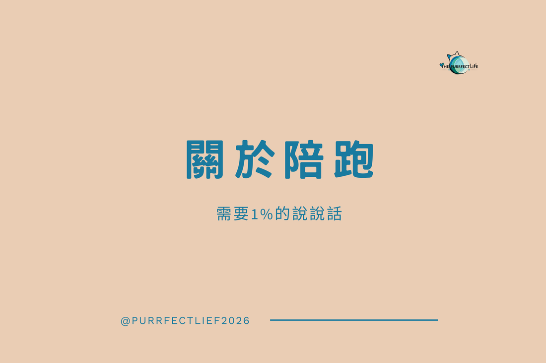 Barista Fire 生活實驗的旅程，在執行財務操作的不確定性中，透過朋友的陪伴與對話，獲得繼續前行的執行力與勇氣。